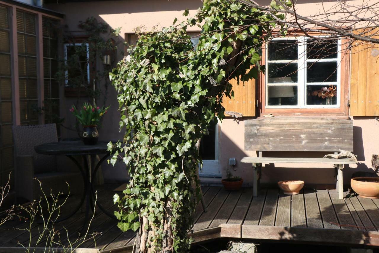 Ferienhaus Witta Villa ราเดอบอยล์ ภายนอก รูปภาพ